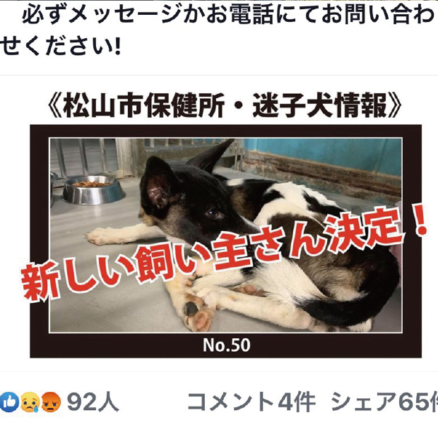 自治体と愛護団体とボランティアが連携